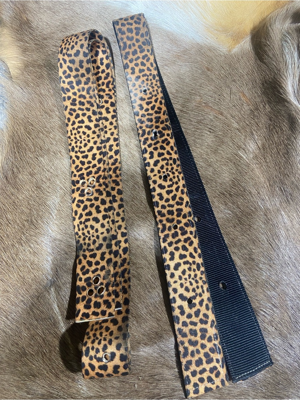 Horse Leopard Print latigo